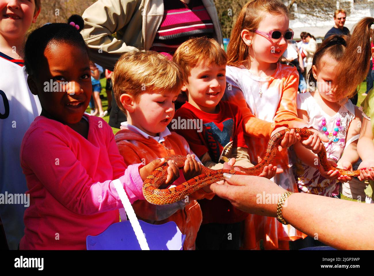 Eine Gruppe verschiedener Schulkinder besucht ein Naturschutzgebiet auf Long Island und lernt von den Tieren, indem sie die Schuppen einer Maisschlange halten und berühren. Stockfoto