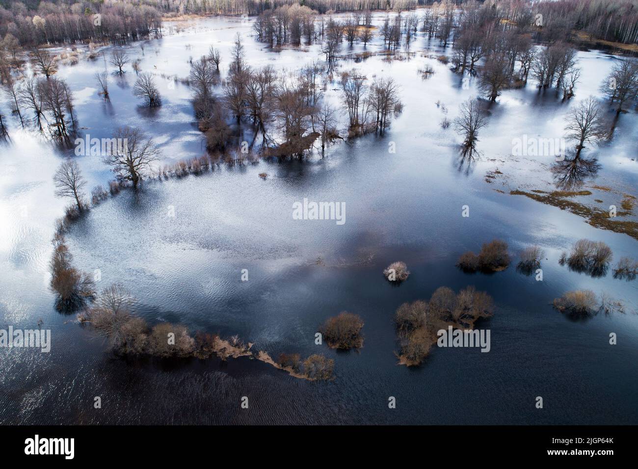 Überflutete Landschaft während der sogenannten fünften Saison im Soomaa-Nationalpark, Estland Stockfoto