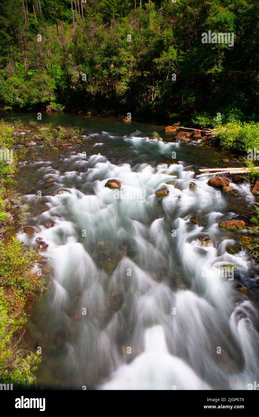 North Fork of the Middle Fork Willamette Wild and Scenic River, Willamette National Forest, Aufderheide National Scenic Byway, Oregon Stockfoto