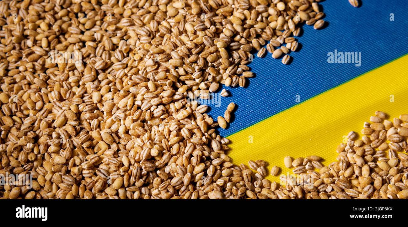 Getreide auf ukrainischer Flagge. Globales Konzept für die Exportkrise bei Nahrungsmitteln und Getreide Stockfoto