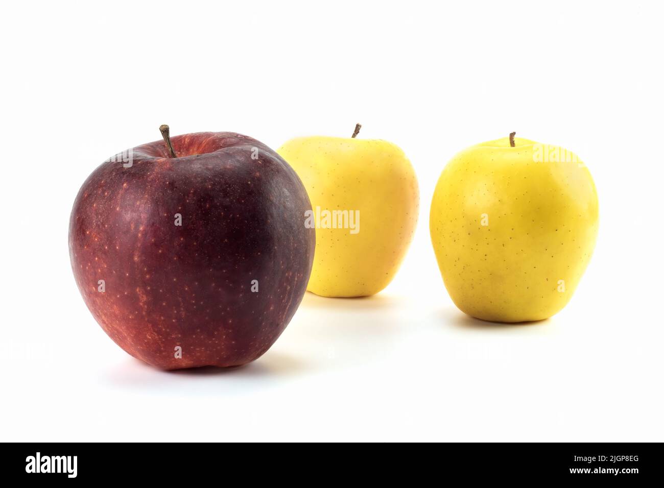 Mehrere frische Äpfel auf einem hellen Hintergrund isoliert. Nahaufnahme. Stockfoto