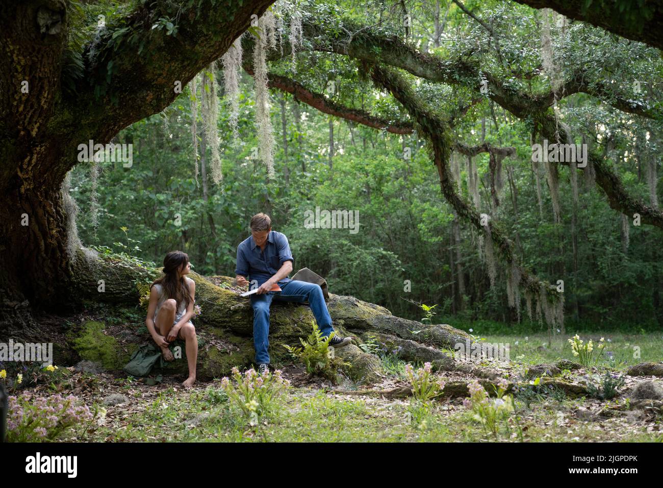 Taylor John Smith, Daisy Edgar-Jones, „Where the Crawdads Sing“ (2022). Bildnachweis: Michele K. Short/Sony Pictures/THA Stockfoto