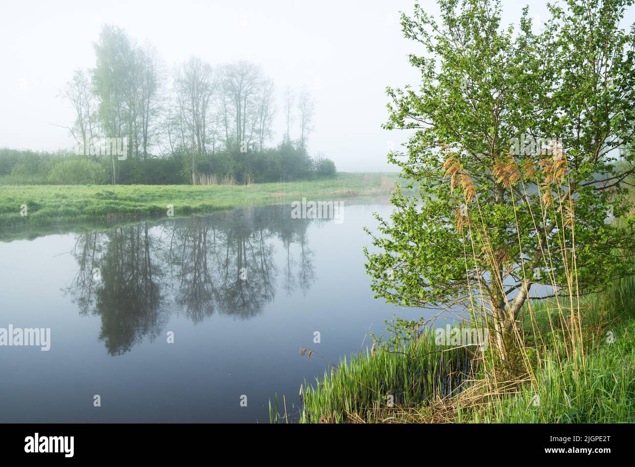 Blick auf eine neblige Flusslandschaft an einem späten Frühlingsmorgen in Estland, Nordeuropa Stockfoto