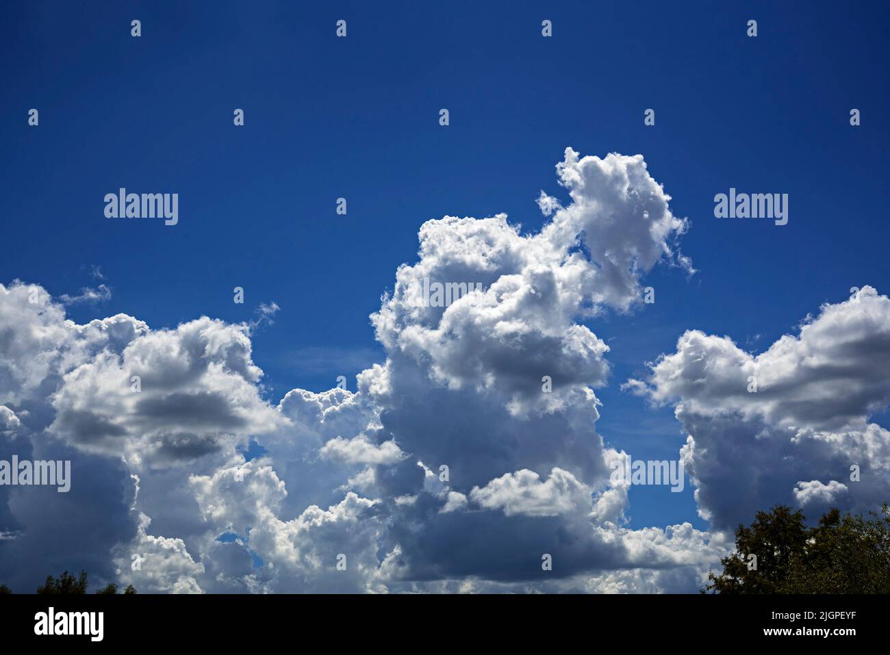 Wunderschöner blauer Himmel, der an einem schönen Sommertag in Nord-Zentral-Florida mit geschwollenen weißen Wolken bevölkert ist. Stockfoto