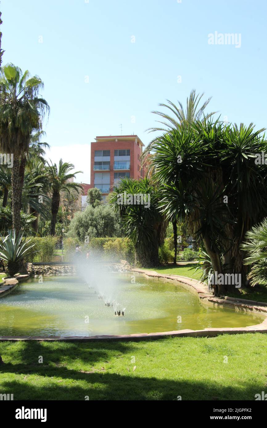 Gassen des Königlichen Parks von Valencia Stockfoto