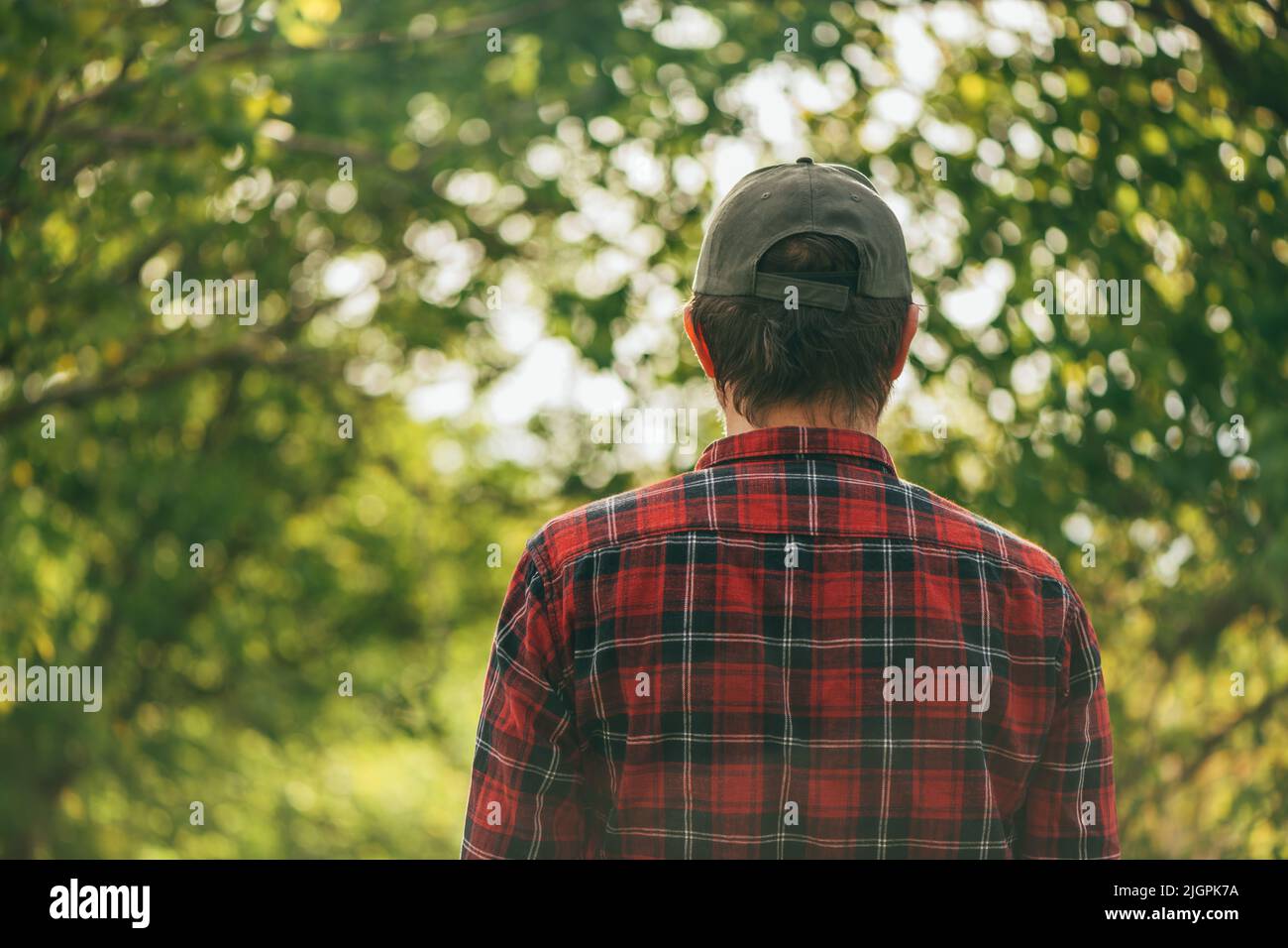 Rückansicht eines Bauern mit kariertem Hemd und Truckerhut, der in einem Walnussgarten steht und Bäume ansieht, selektiver Fokus Stockfoto