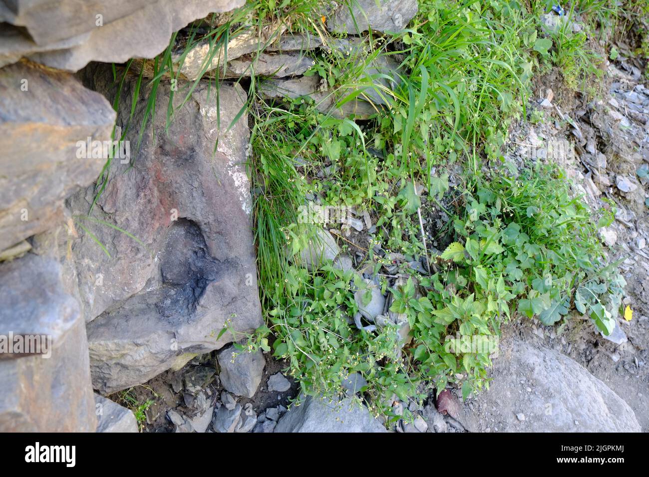 Padmasambhava (Guru Rinpoche) Fußabdruck in der Nähe des Himalaya-Dorfes Nesang in Kinnaur, Himachal Pradesh, Indien Stockfoto
