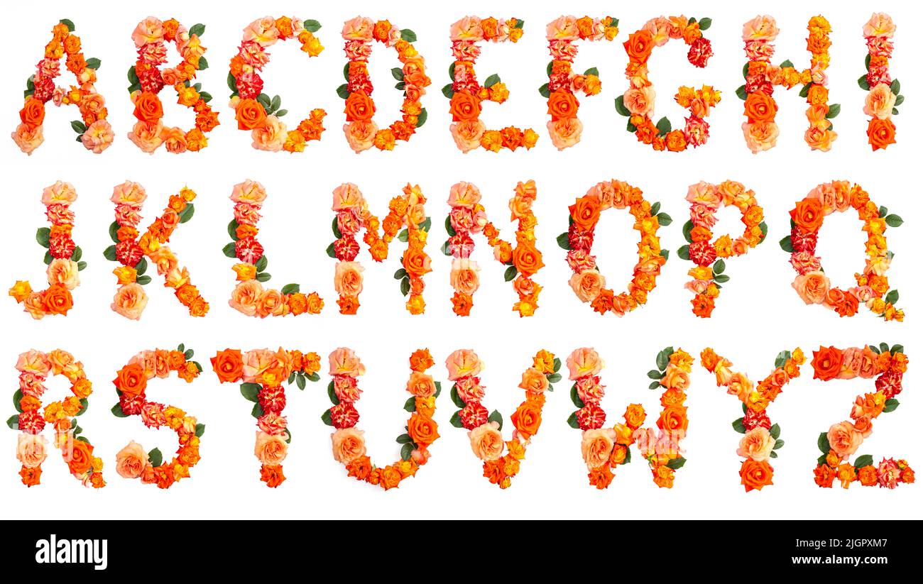 Alphabet aus echten roten und orangen Rosen. Hochzeitsschrift, Fotografie. Stockfoto