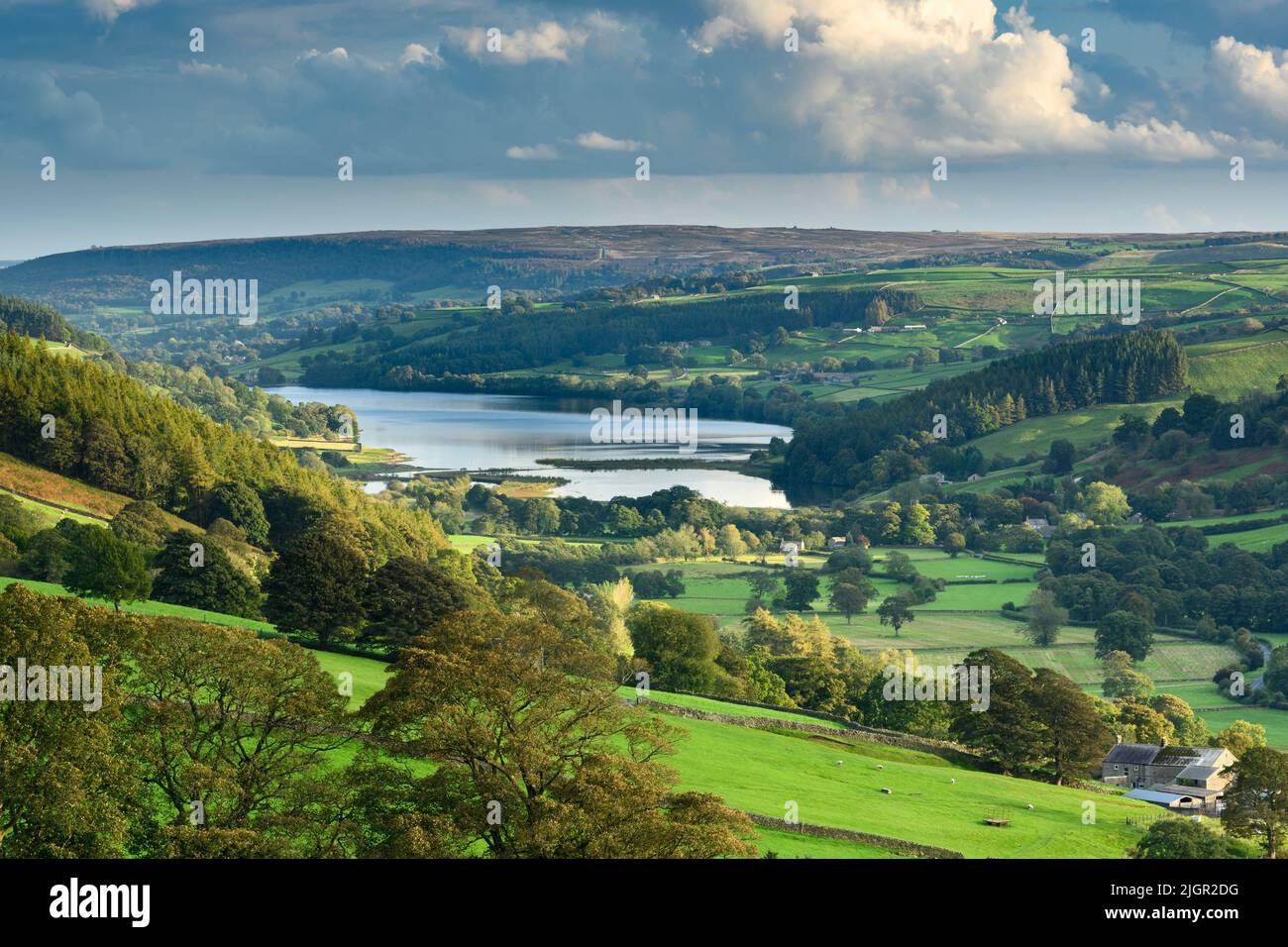 Landschaftlich reizvolle ländliche Yorkshire Dales-geschützte Landschaft (wunderschöne pastorale Landschaft, Bäume auf Hügeln, Trockenmauern) - Upper Nidderdale, England, Großbritannien. Stockfoto