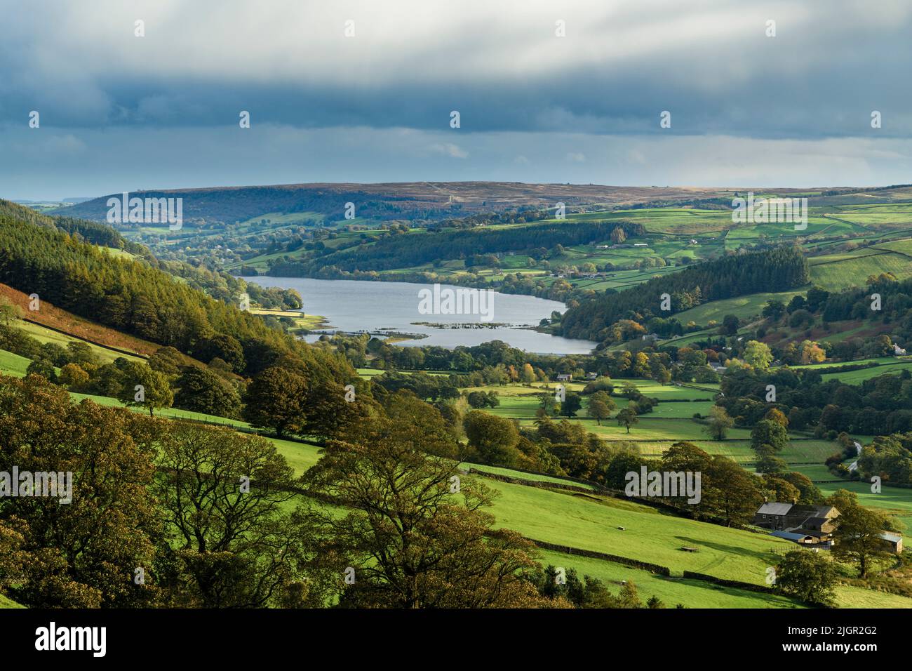 Landschaftlich reizvolle ländliche Yorkshire Dales-geschützte Landschaft (wunderschöne pastorale Landschaft, Bäume auf Hügeln, Trockenmauern) - Upper Nidderdale, England, Großbritannien. Stockfoto