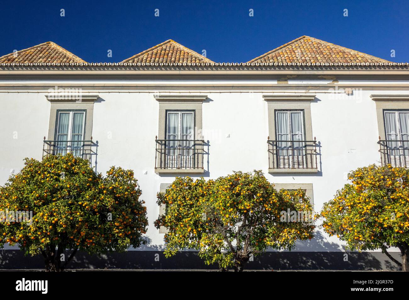 Orangenbäume Vor Dem Rathaus Von Faro (Camara Municipal De Faro), Bürogebäude Altstadt Von Faro, Algarve, Portugal, Europa Gebäude Außenfassade Stockfoto