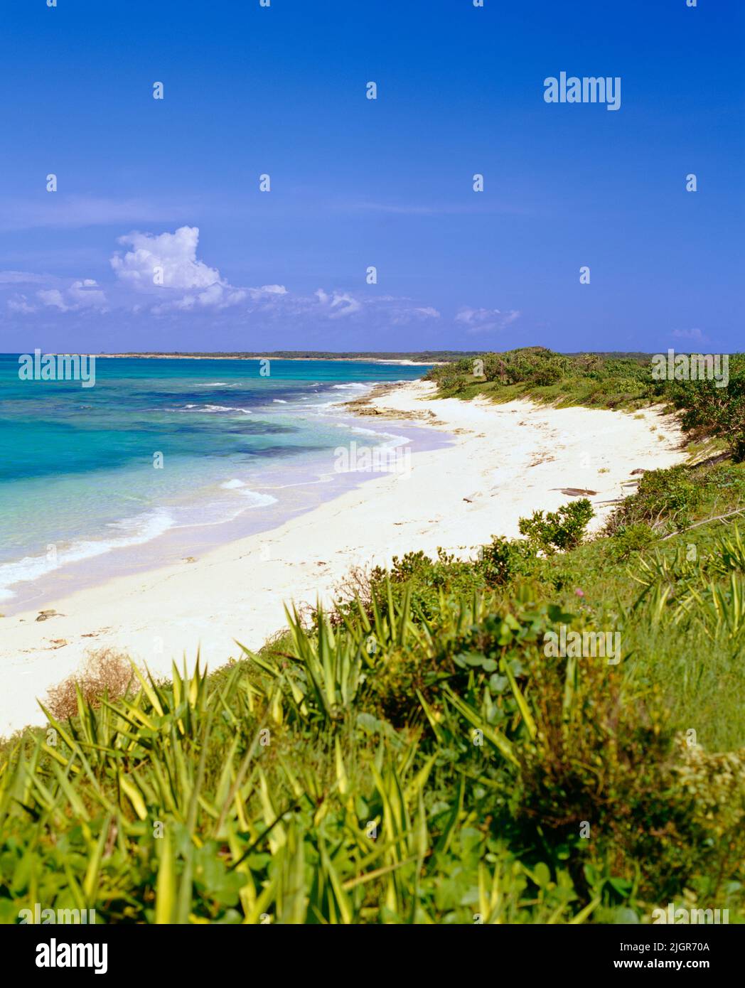 Malcolm Straßen Bay an der North West Point Pond Nature Reserve. Providenciales, Turks- und Caicosinseln, British West Indies. Stockfoto
