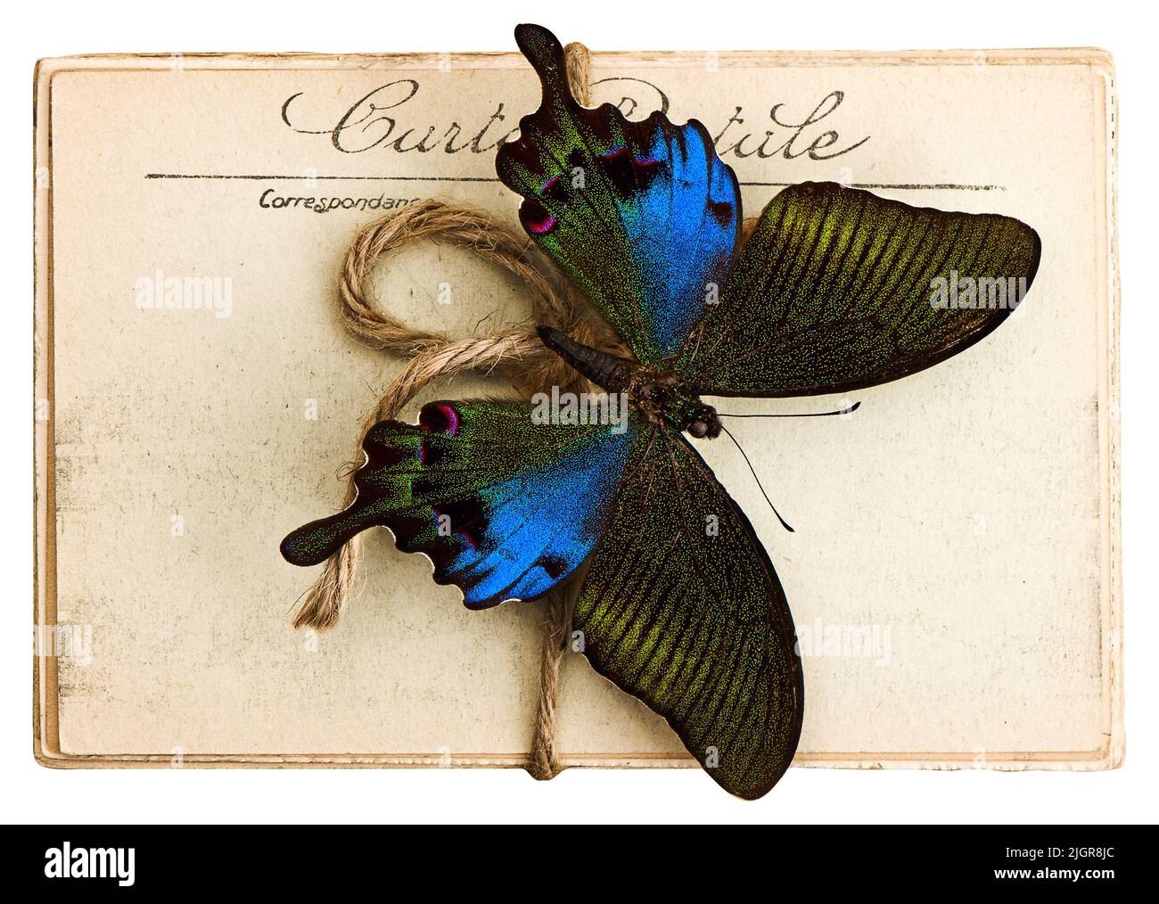 Schmetterling und alte Postkarten. Nostalgisches Vintage-Objekt Stockfoto