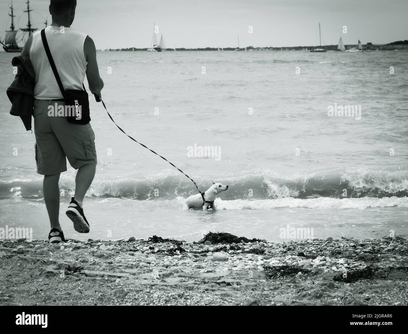 La Rochelle, Frankreich, Juli 2022. Ein Mann mit Hund an der Leine am Stadtstrand von La Rochelle, im Hintergrund das Meer und die Schiffe Stockfoto