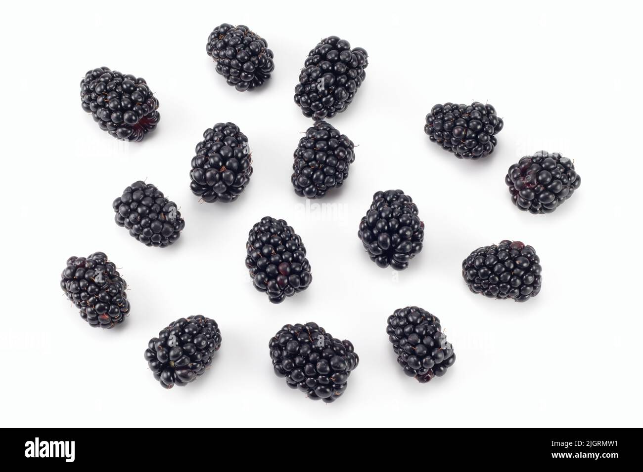 Frische Brombeere isoliert auf weißem Hintergrund. Draufsicht. Stockfoto