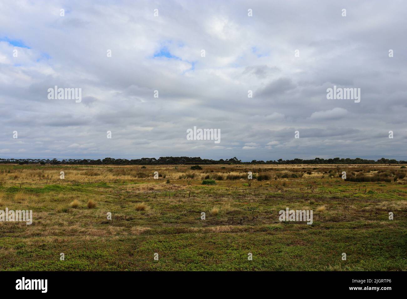 Eine Feldlandschaft mit Wolken am Himmel Stockfoto