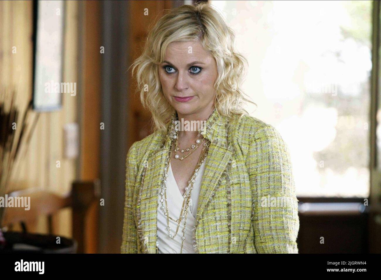 AMY POEHLER, A.C.O.D., 2013 Stockfoto