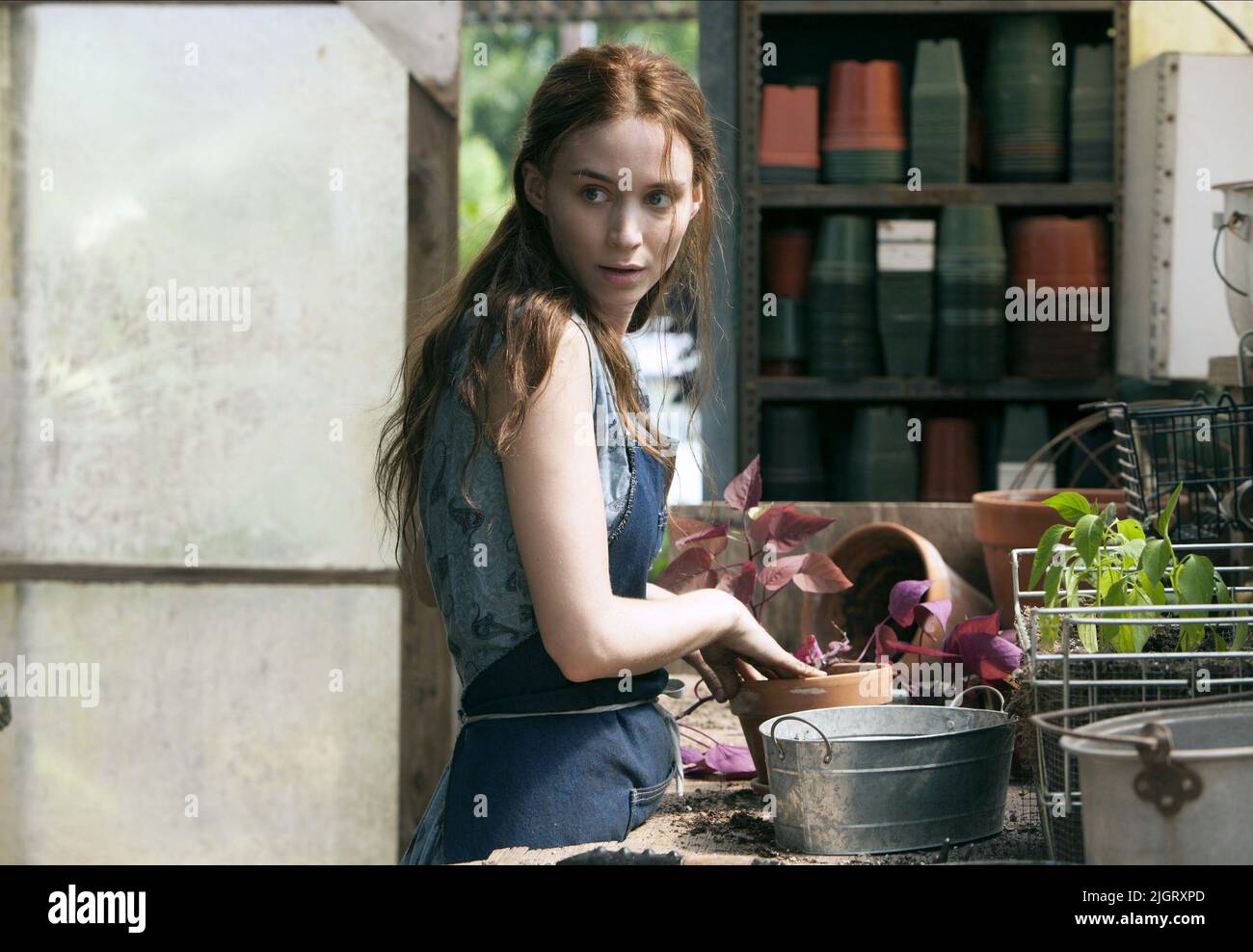 ROONEY MARA, AI'T THEM BODIES SAINTS, 2013 Stockfoto