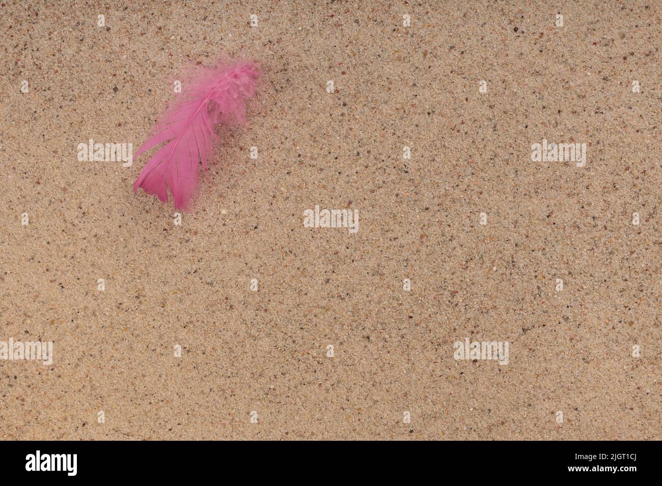 Zarte rosa Feder am Strand, Sand . Minimalistische Komposition im Zen-Stil, Achtsamkeit. Speicherplatz kopieren. Draufsicht, Copyspace. Stockfoto