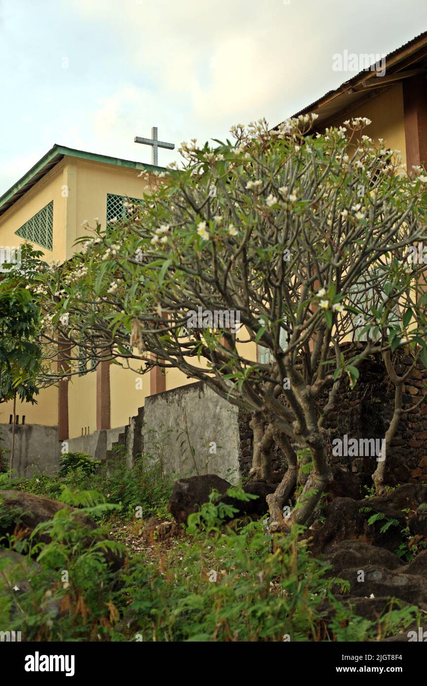 Ein Teil der katholischen Kirche von Santo Petrus-Paulus mit einem Plumeria-Baum in Lamalera, Wulandoni, Lembata, Ost-Nusa Tenggara, Indonesien. Stockfoto