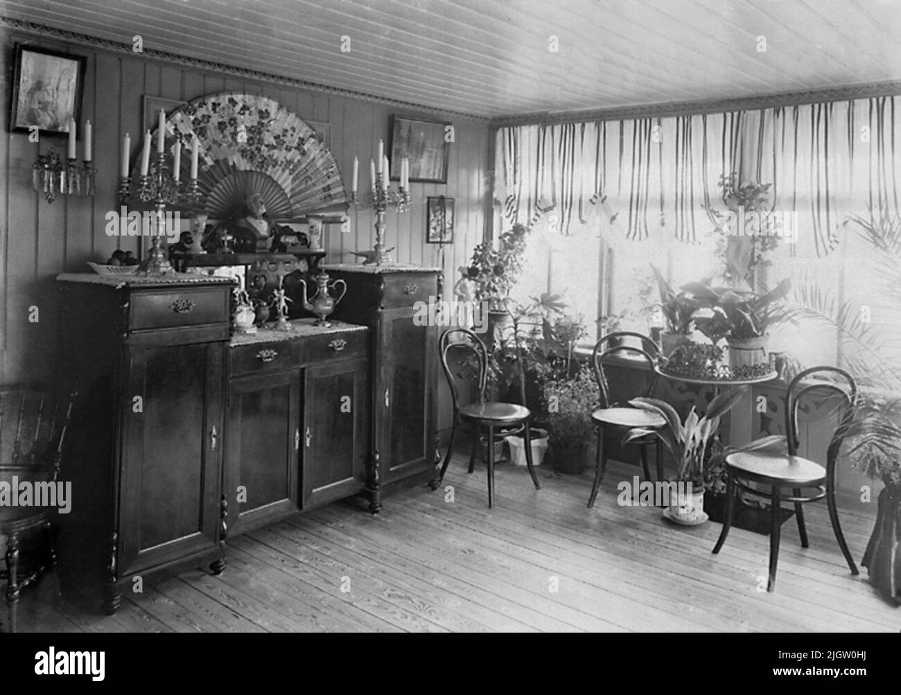 Miss Hildur Berndtsson's Modehandel, Ljungskile, 1904. Interieur aus einem sonnigen Raum mit einem Sideboard rechts mit vielen Ornamenten und einer großen, gespannten Solarquelle hinter einer kleinen Büste von Oscar II. Rechts befinden sich drei sogenannte Thonet-Stühle aus gebogenem Holz vor einer langen Fensterreihe mit vielen Blumentöpfen etc Stockfoto