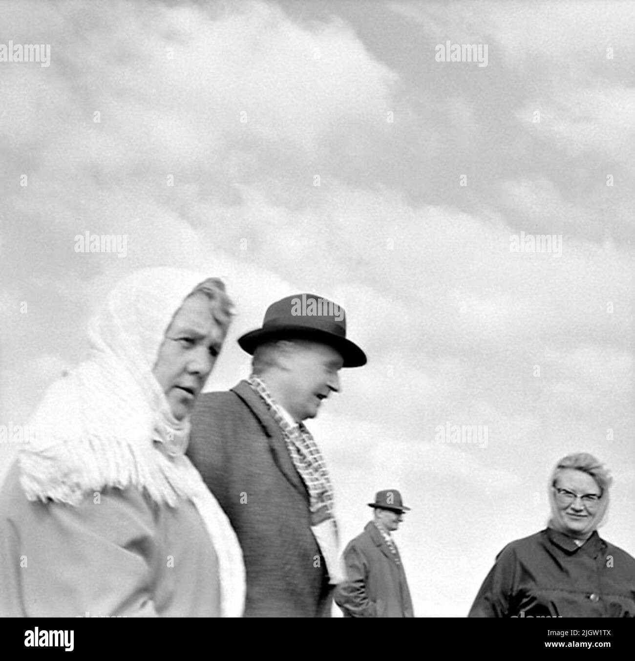 Zwei Frauen und zwei Männer blicken auf die Aussicht. Es weht kühl. Stockfoto