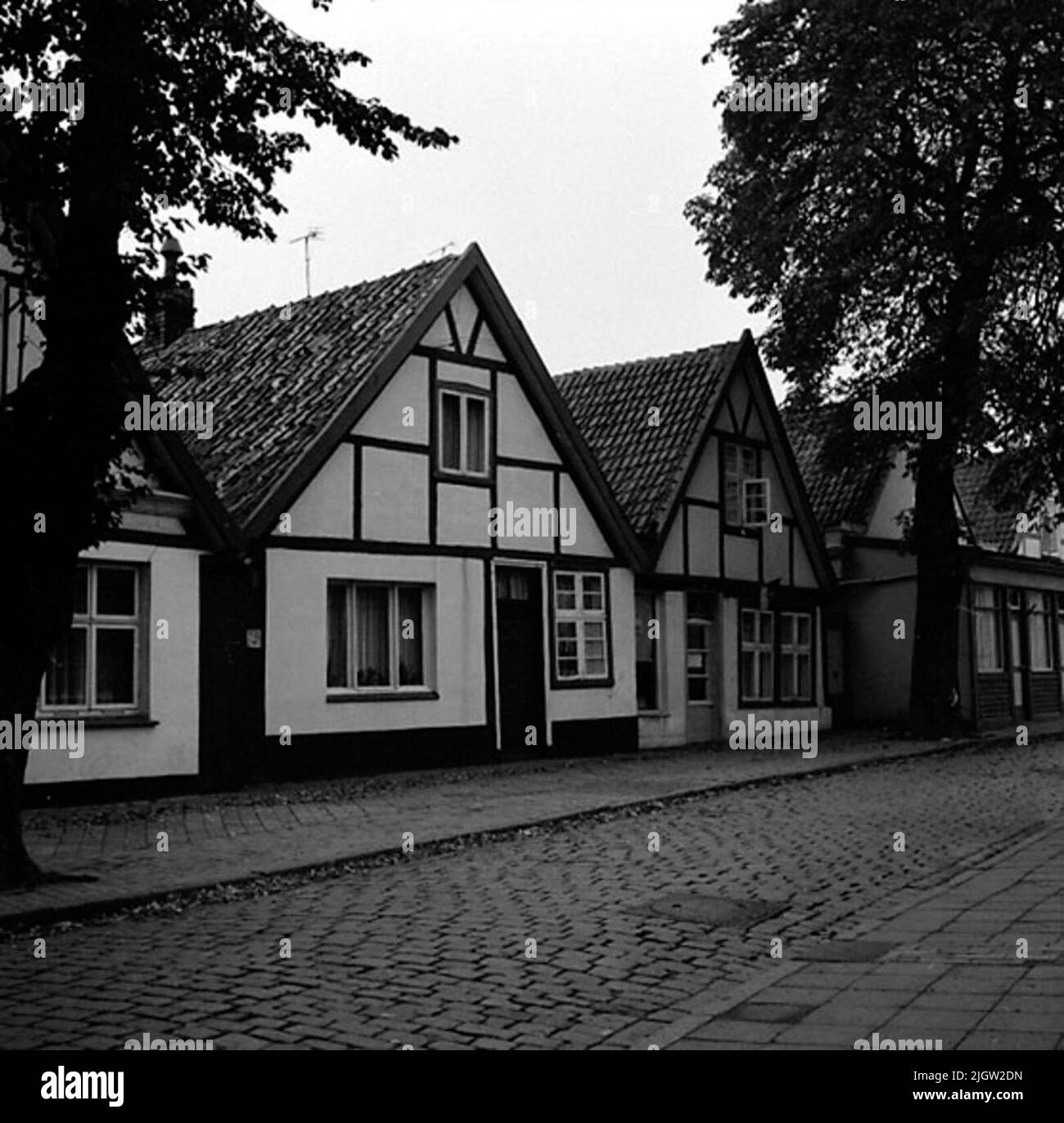 An einer asphaltierten Straße befinden sich einige Wohngebäude. Foto aus Deutschland (?). Stockfoto