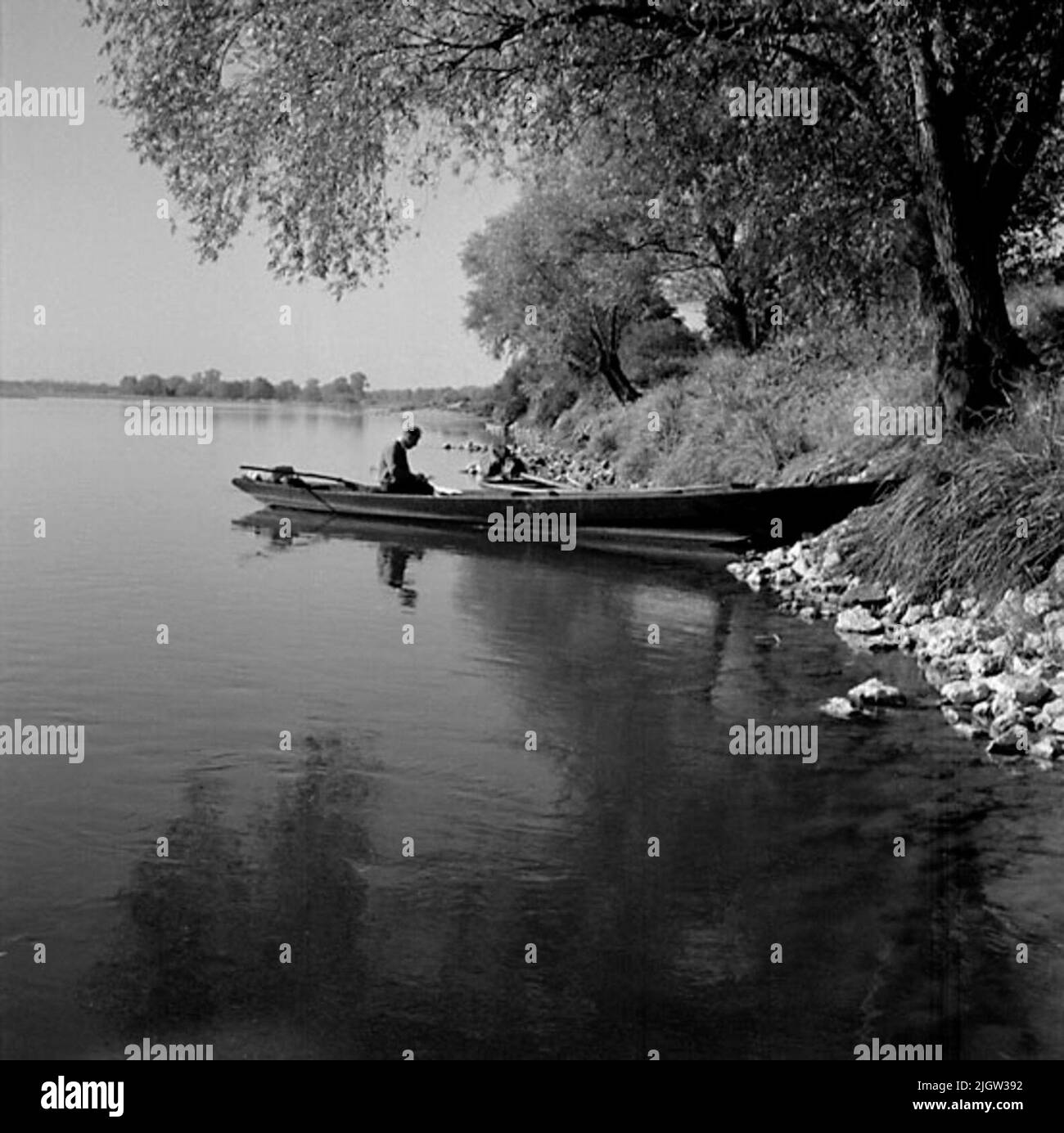 6. Frankreich. Fotojournal ist bei B.M.A. erhältlich + Fotoalben. Erwerb: Bücher und Archivmaterial. Fotos aufgenommen 1959-10-16,12 Bilder in Serie. Nach Angaben: Frankreich. Loire, St Etienne de Chigny, 16/10 -59. Boot mit einem Gerät zum Segeln. (Masthalterung). Ein Mann sitzt in einem Boot, an einem Strand zu einem Fluss. Am Strand wachsen Bäume, die über dem Wasser hängen. Stockfoto