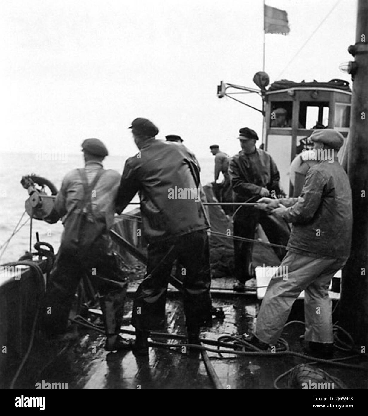 Viola - Smögen. In der Kabine Knut Andersson, Nr. 2 Fr. v.: Arne Albertsson. Am weitesten entfernt: Valter Askman. Eine Reihe von Männern arbeiten mit dem Kalb an Bord eines Fischerbootes. Stockfoto