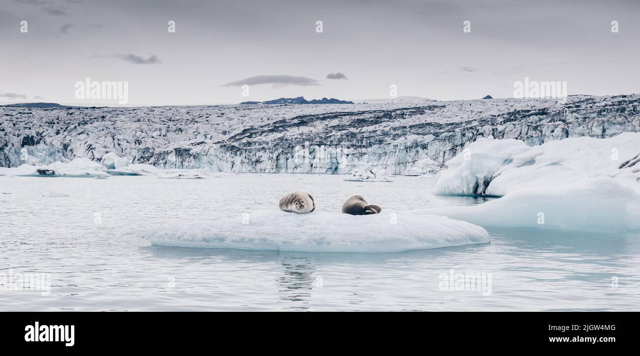 Island Stockfoto