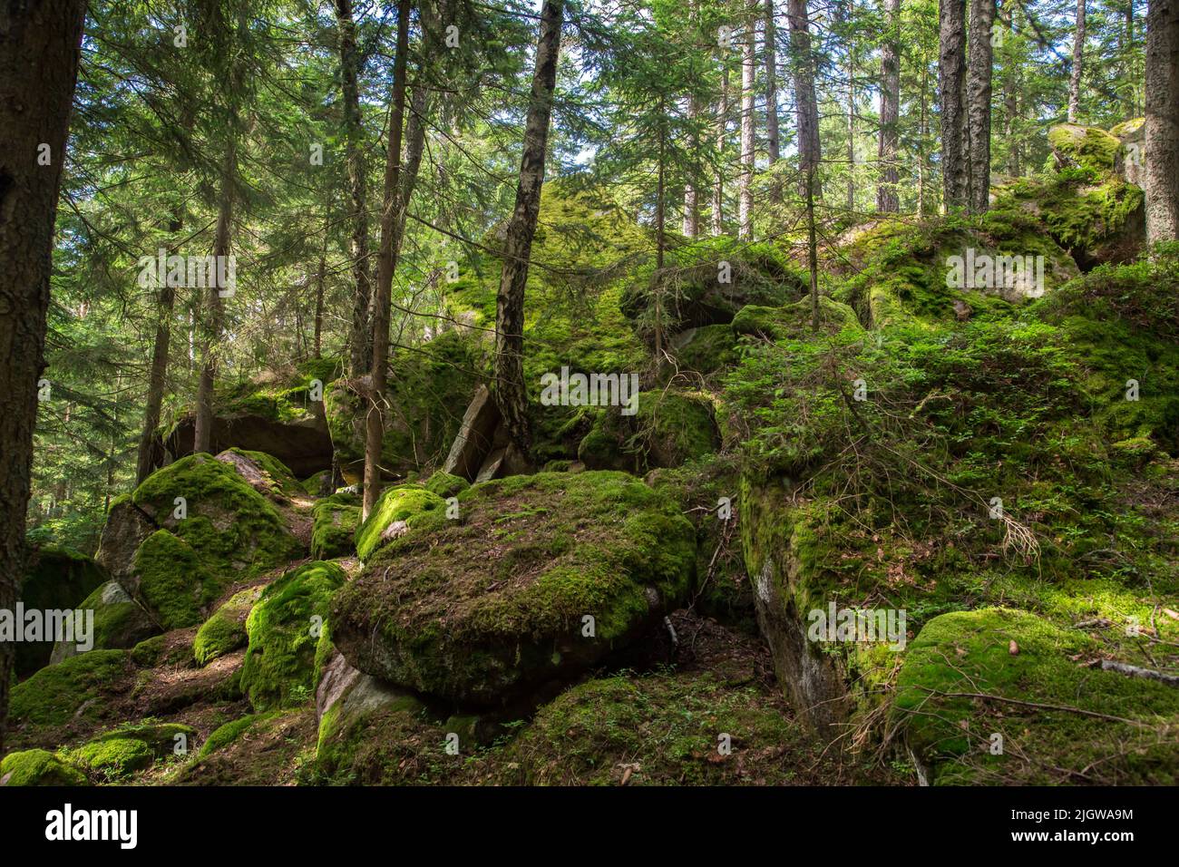 Frauhaus steine -Fotos und -Bildmaterial in hoher Auflösung – Alamy