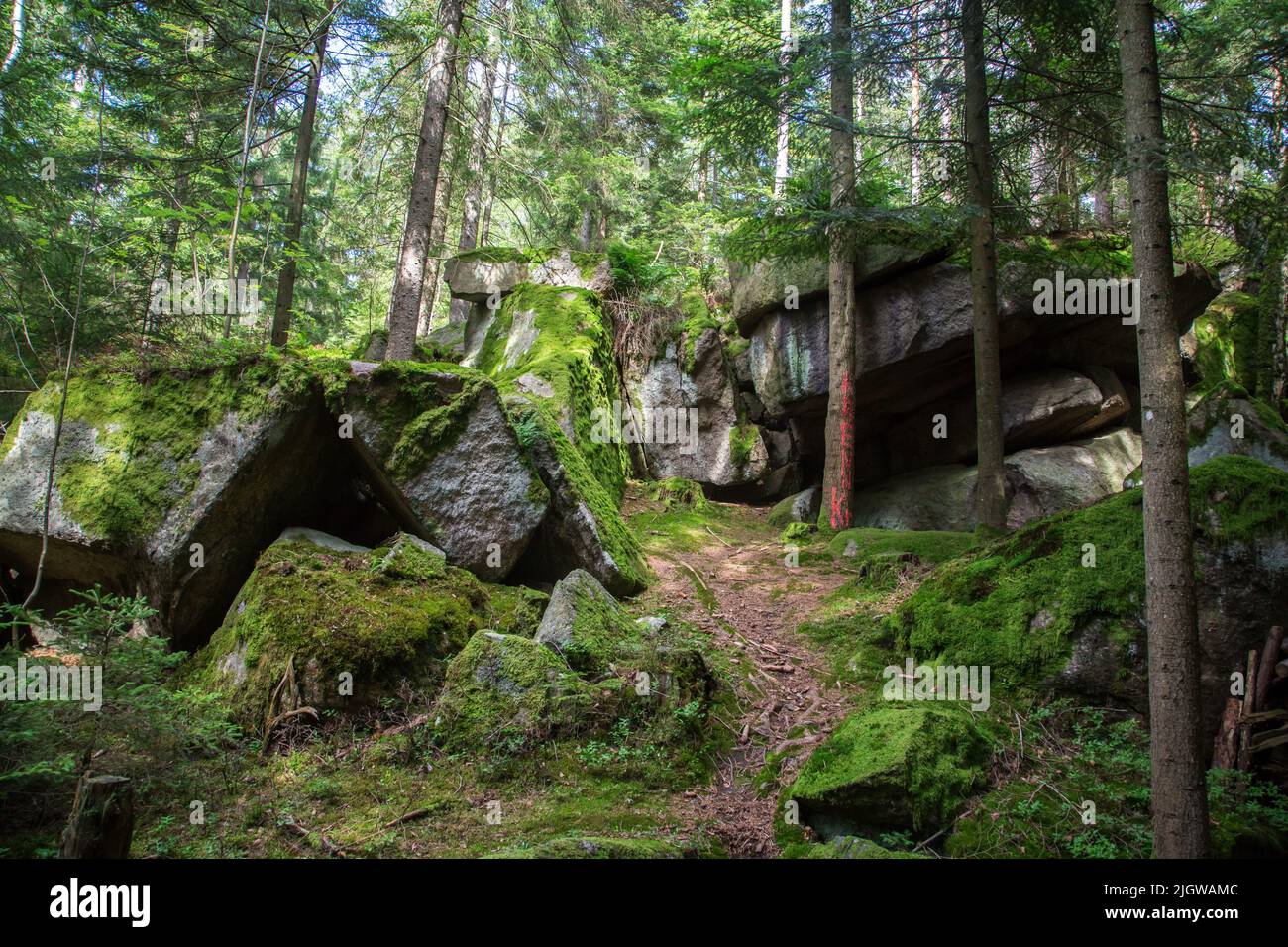 Frauhaus steine -Fotos und -Bildmaterial in hoher Auflösung – Alamy