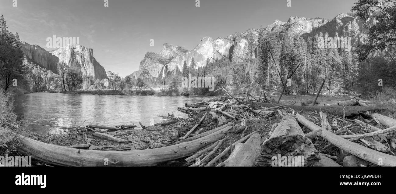 Landschaftlich schöner Blick im Yosemite Tal auf die Berge des El capitan und Cathedral Rock, USA Stockfoto