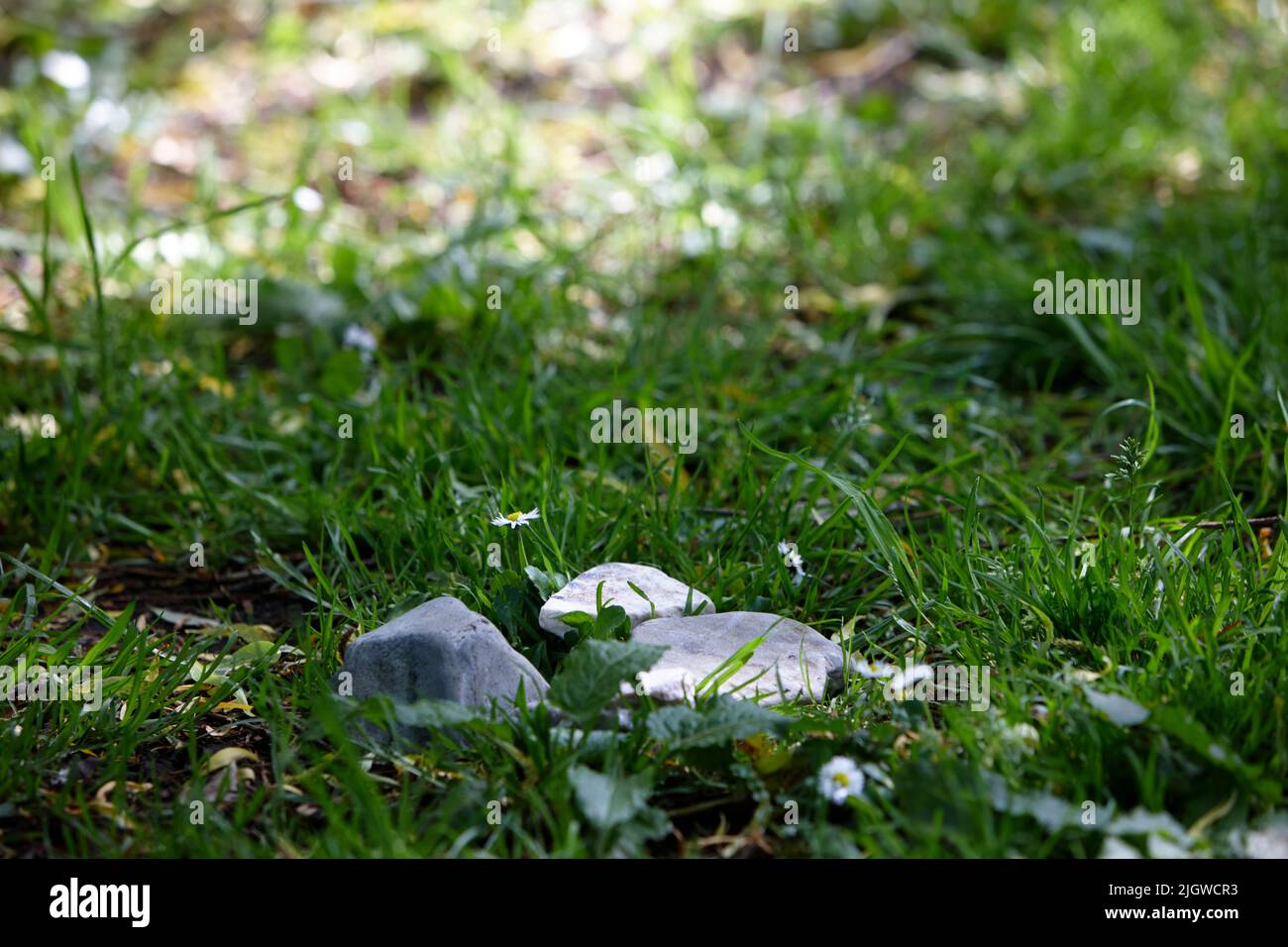 Steingruppe leuchtet durch Sonnenlicht, das im Gras liegt Stockfoto