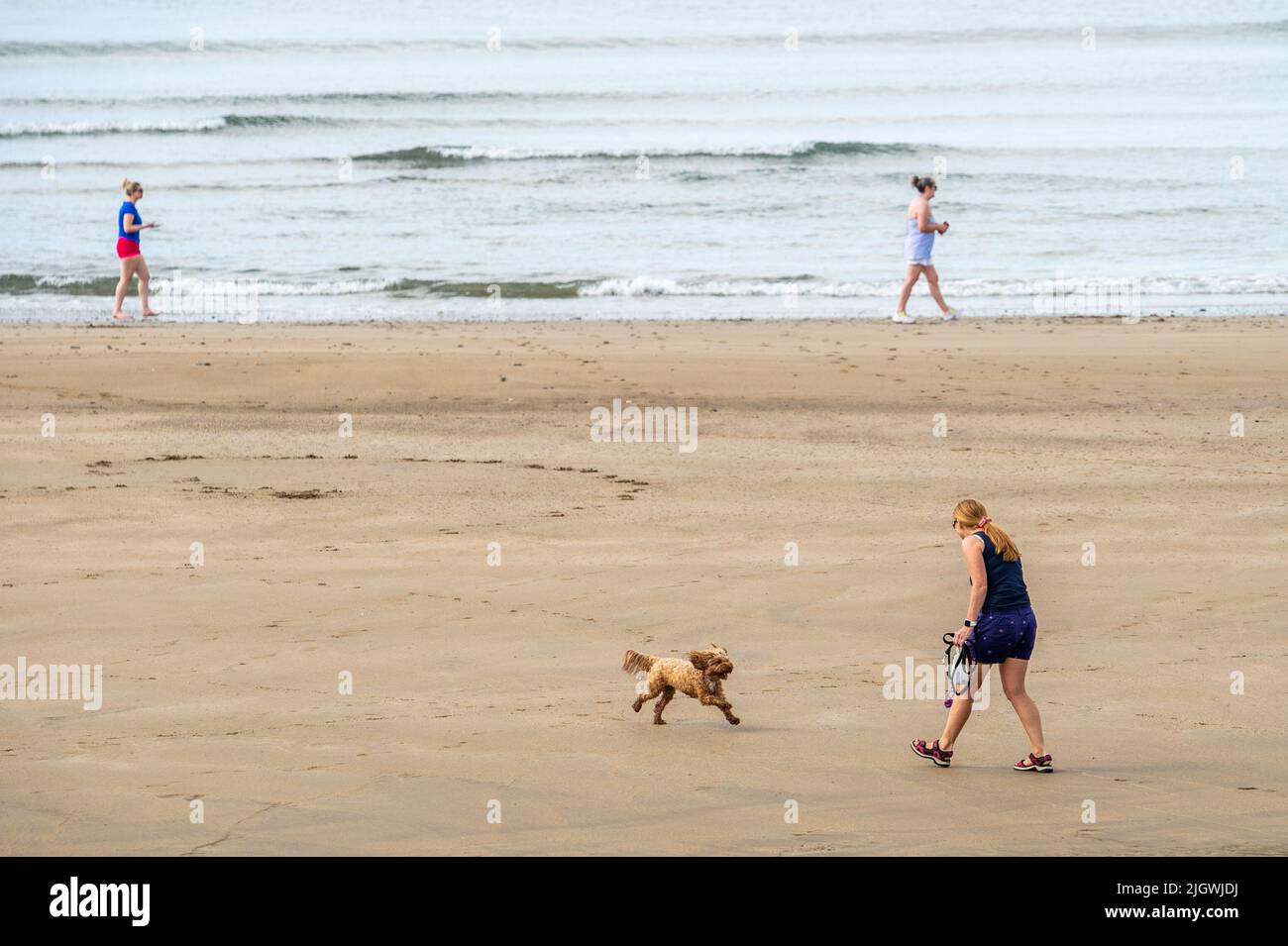 Garretstown, West Cork, Irland. 13.. Juli 2020. Die Menschen haben heute Morgen das Beste aus der Sonne gemacht, als die frühen Temperaturen am Garretstown Beach, West Cork, 21C Grad erreichten. Met Éireann prognostiziert für den Rest der Woche zunehmend höhere Temperaturen, die am Wochenende in einer möglichen 28C-Grad-Temperatur münden. Quelle: AG News/Alamy Live News Stockfoto