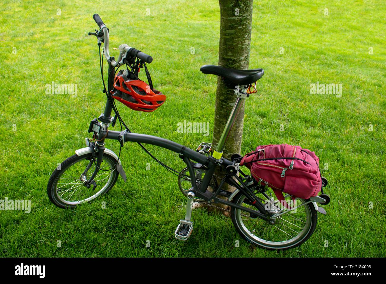 Componentry Fahrrad mit Titan-Heckrahmen und Gabel leichtes Faltrad auf einem Baum mit Helm und Rucksack lehnt Stockfoto