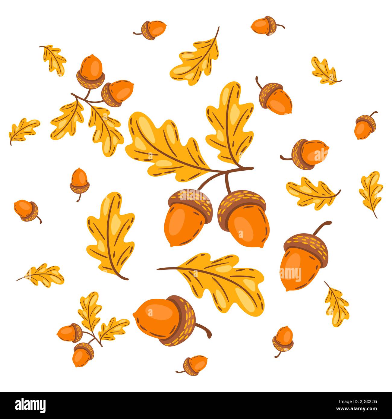 Hintergrund aus Eichenblättern mit Eicheln. Bild der saisonalen Herbstpflanze. Stock Vektor