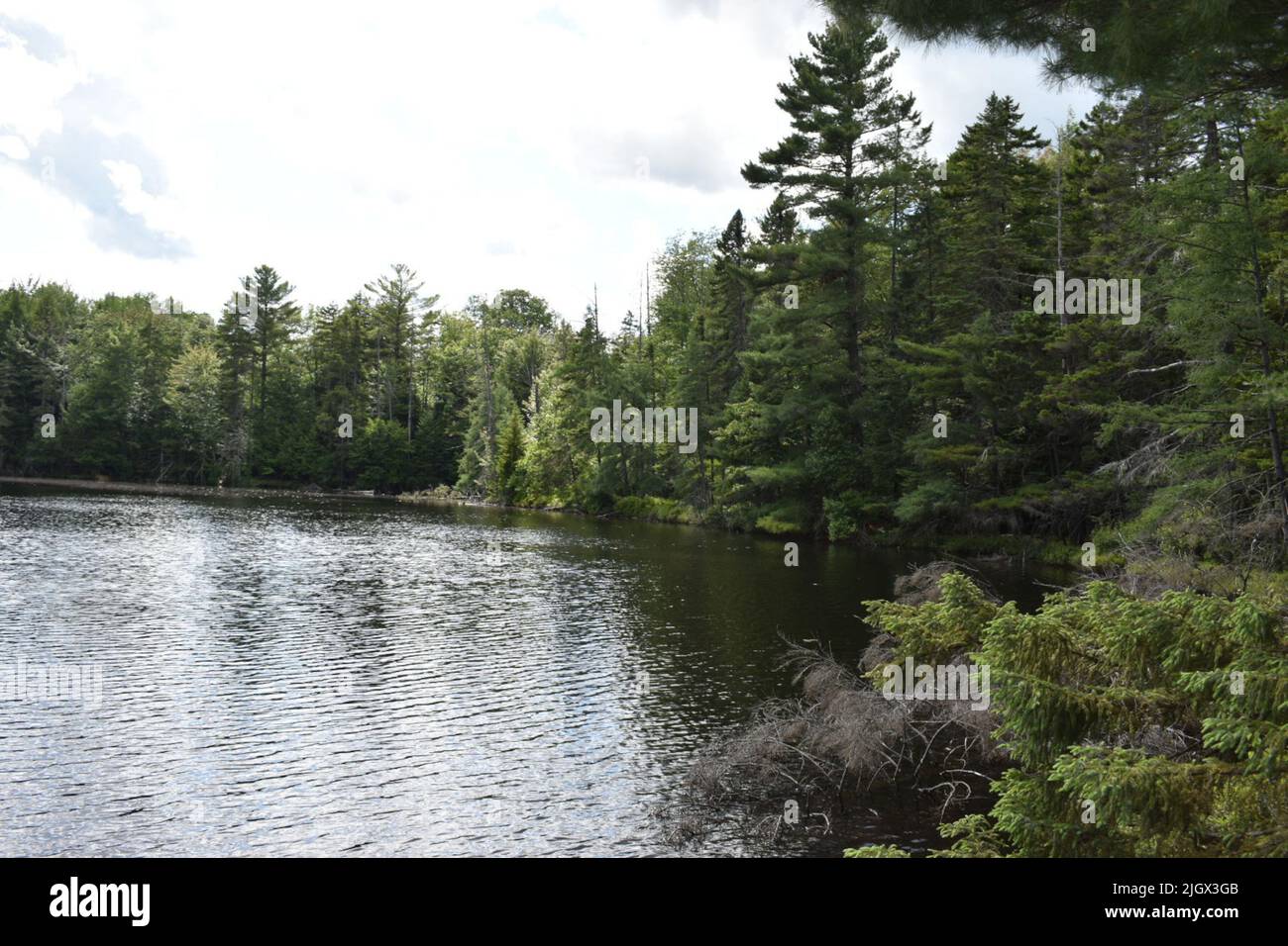 Ein schöner Blick auf den See im Parc ecoforestier de Johnville, Estrie, Quebec, Kanada Stockfoto