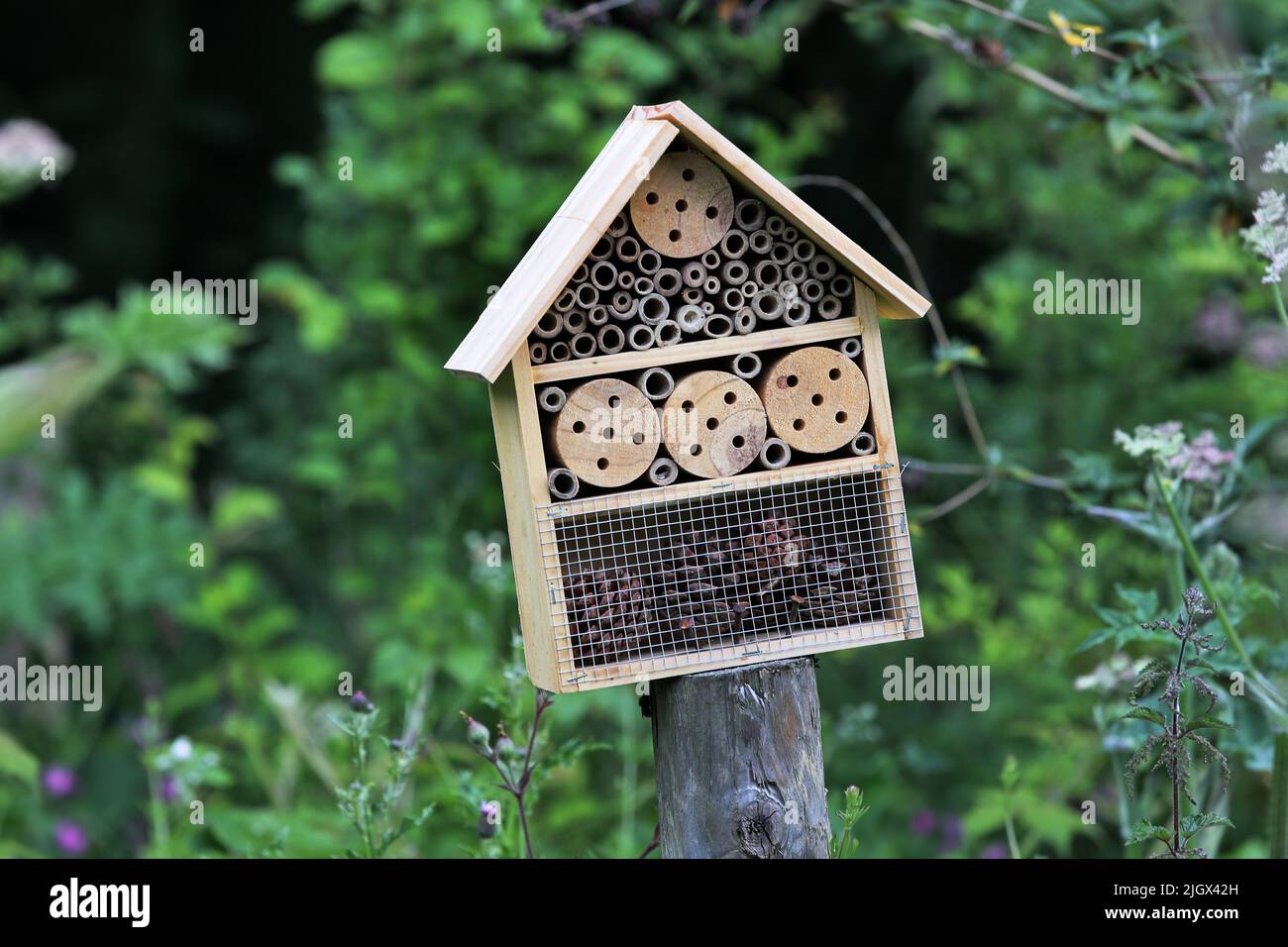 Bug Hotel, Großbritannien Stockfoto
