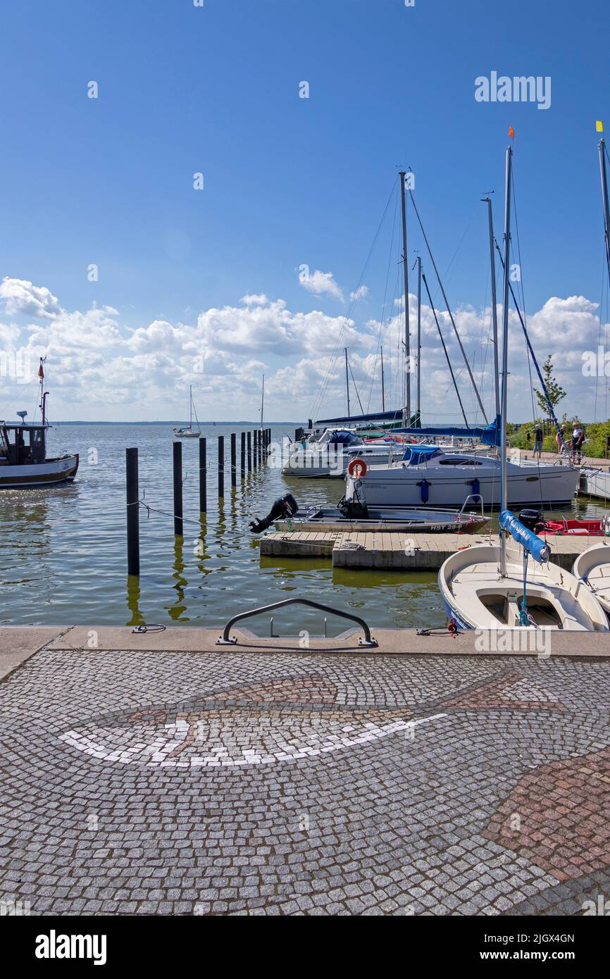 Fischmosaik, Hafen, Wustrow, Mecklenburg-Vorpommern, Deutschland Stockfoto