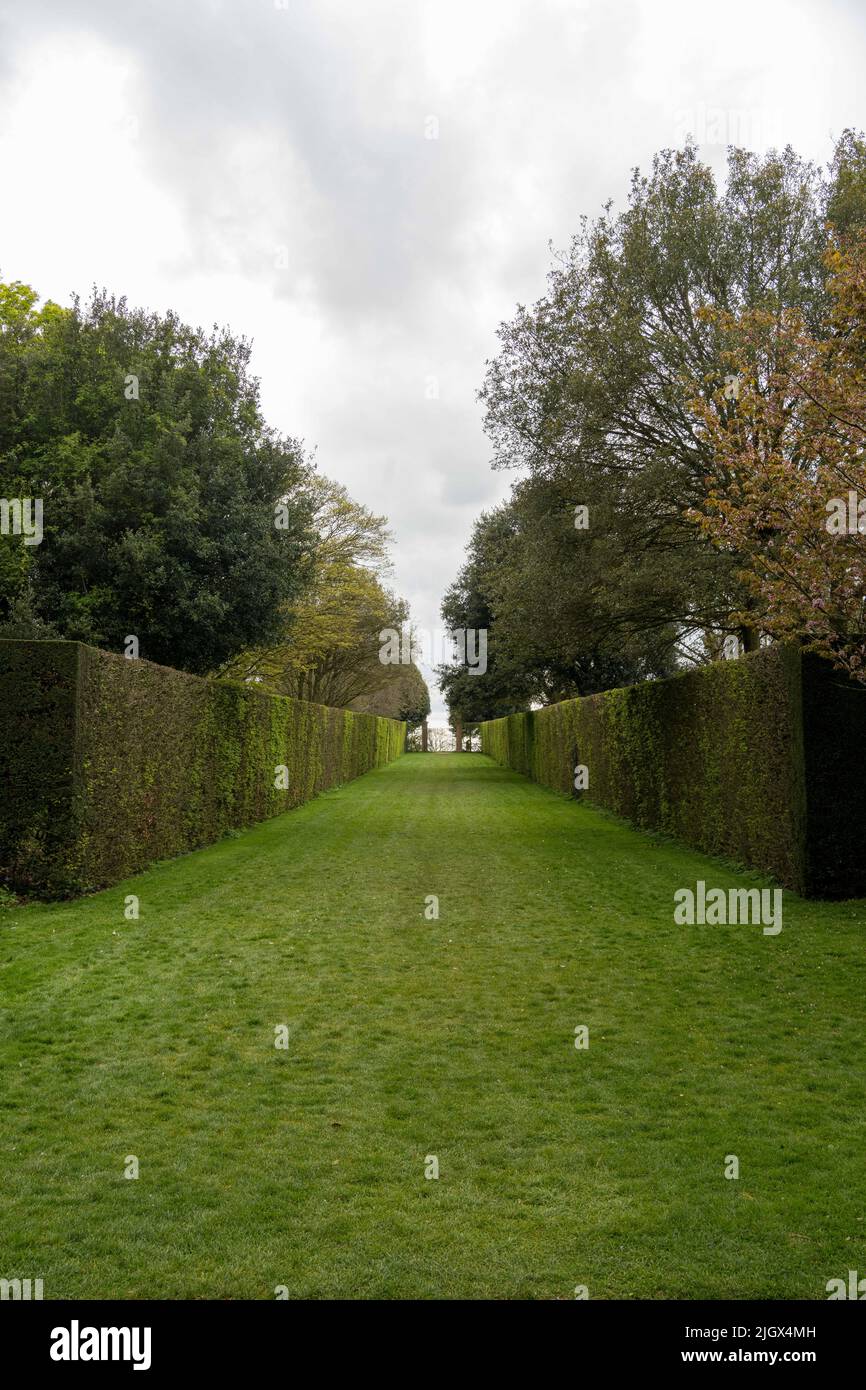 Der lange Spaziergang, Anfang Frühling, Hidcote Manor Estate Garden, Chipping Campden, Cotwolds, Gloucestershire UK Stockfoto