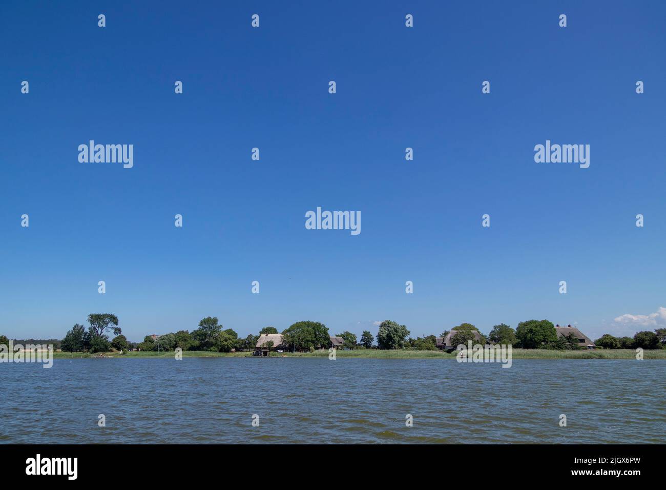 Reethäuser am Meer, Saaler Bodden, Wustrow, Mecklenburg-Vorpommern, Deutschland Stockfoto