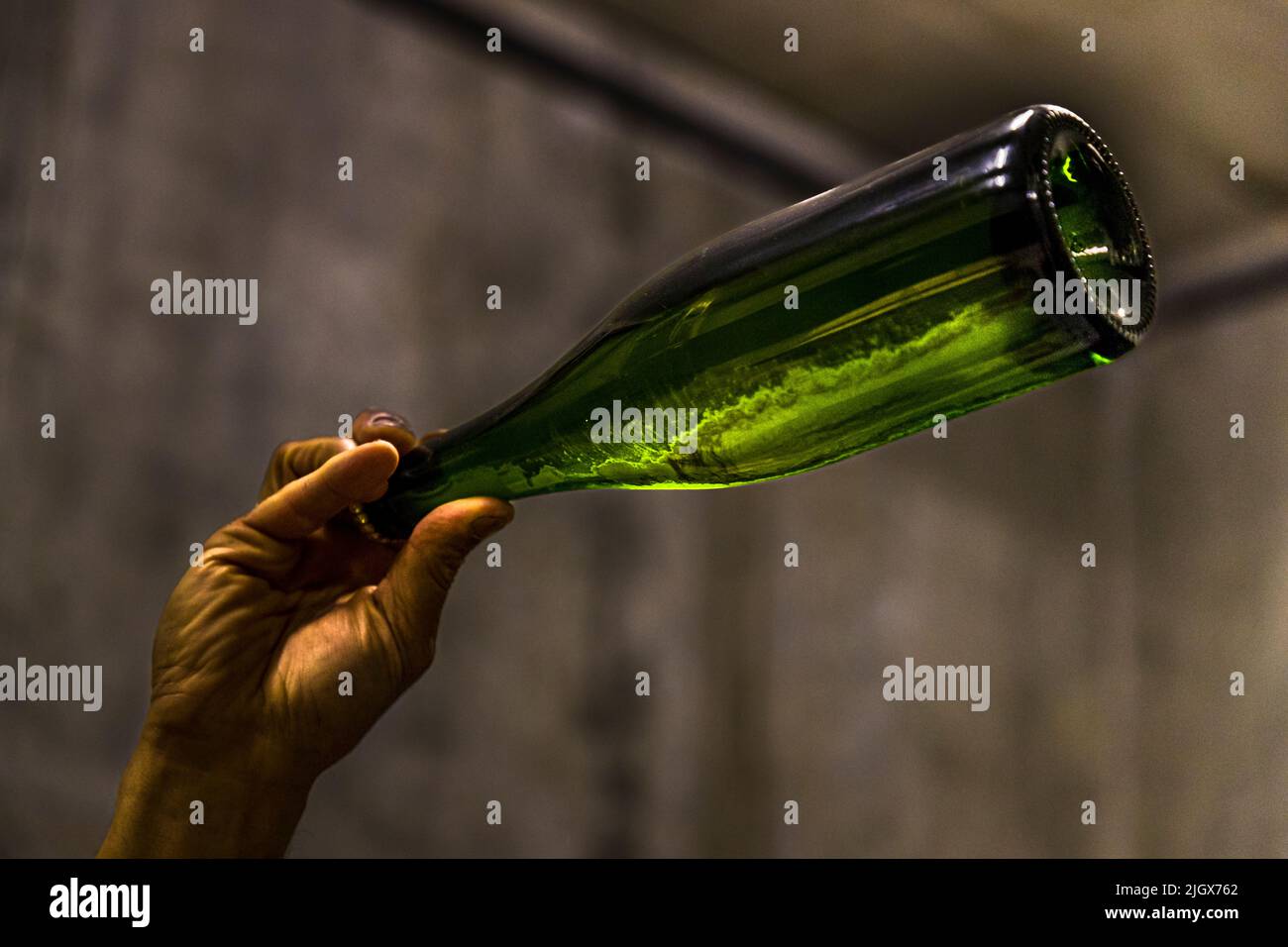 Eine Hand kippt eine dunkelgrüne Flasche gegen das Licht in der Weinkellerei Raspail Jean-Claude & Fils in Saillans, Drôme, Frankreich – um die Klarheit des Weins während der Crémant de Die-Produktion zu überprüfen. Die Weinkellerei wurde 1942 von Henriette und Marius Raspail gegründet. Frédéric Raspail, der in Champagne bei Bollinger ausgebildet wurde, leitet das Gut seit 1997 und hat es zu biologischem Weinbau umgestellt. Er stellt den Sekt aus Clairette-Trauben nach der traditionellen Flaschenfermentationsmethode (méthode traditionnelle) her. Stockfoto