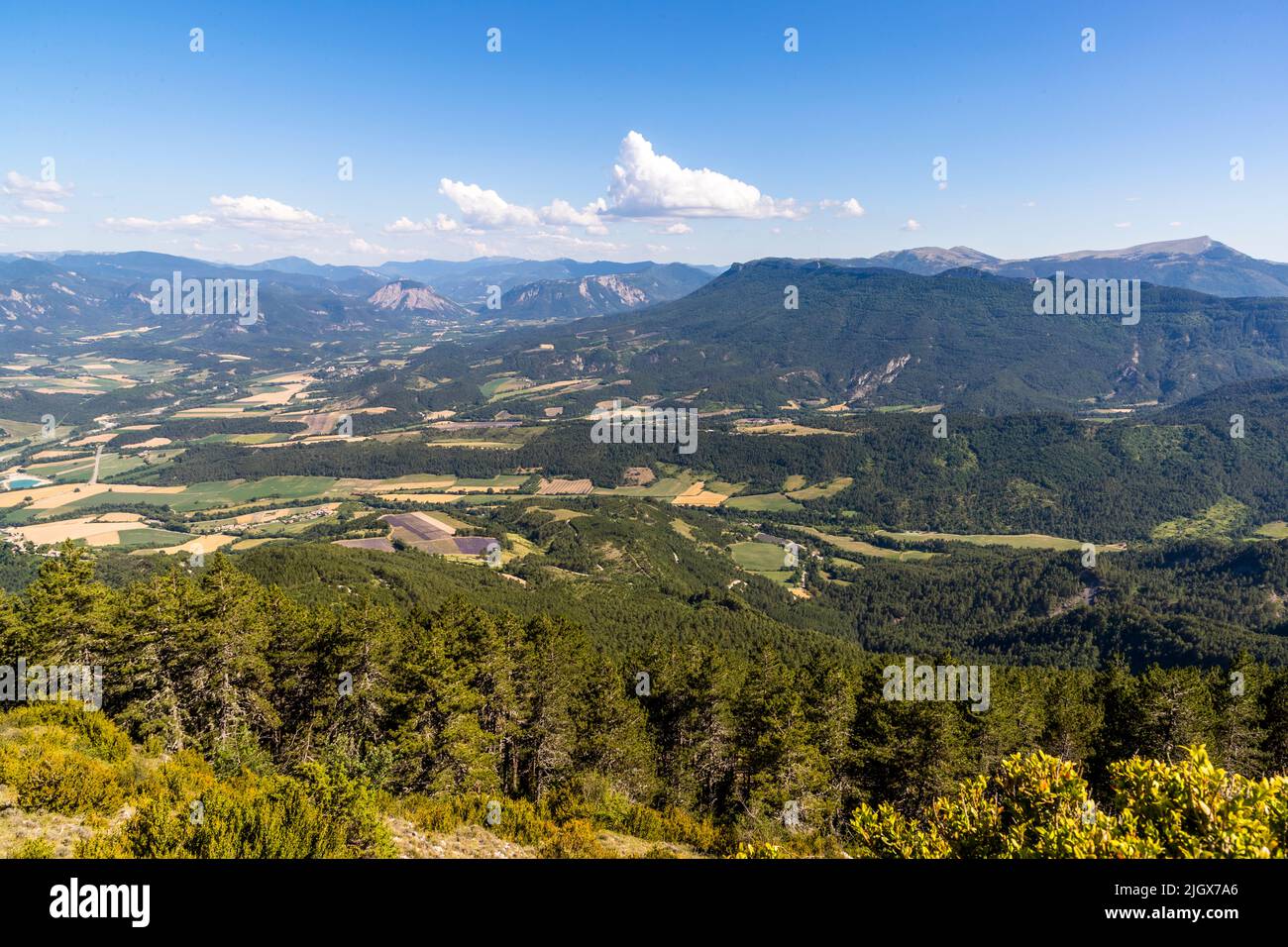 Auf dem Hochplateau von Serre Chauvière blickt man über das obere Drôme-Tal, Frankreich Stockfoto