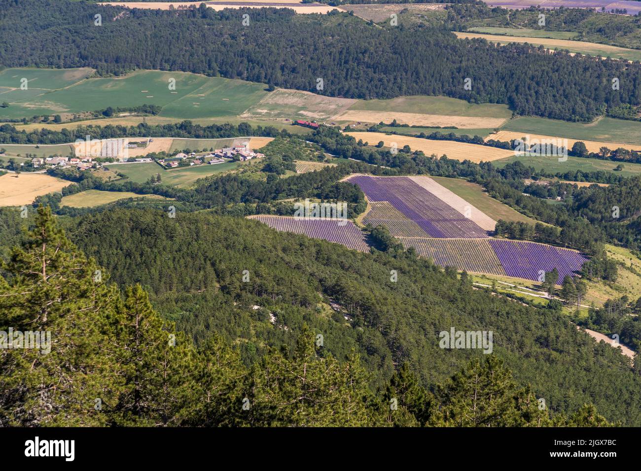 Auf dem Hochplateau von Serre Chauvière blickt man über das obere Drôme-Tal, Frankreich Stockfoto