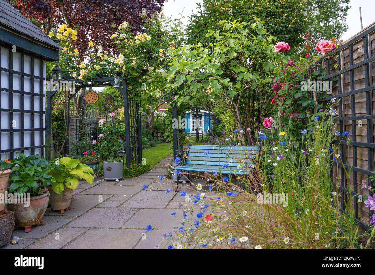Farbenfrohe Vorstadtgärten im Sommer. England, Großbritannien Stockfoto