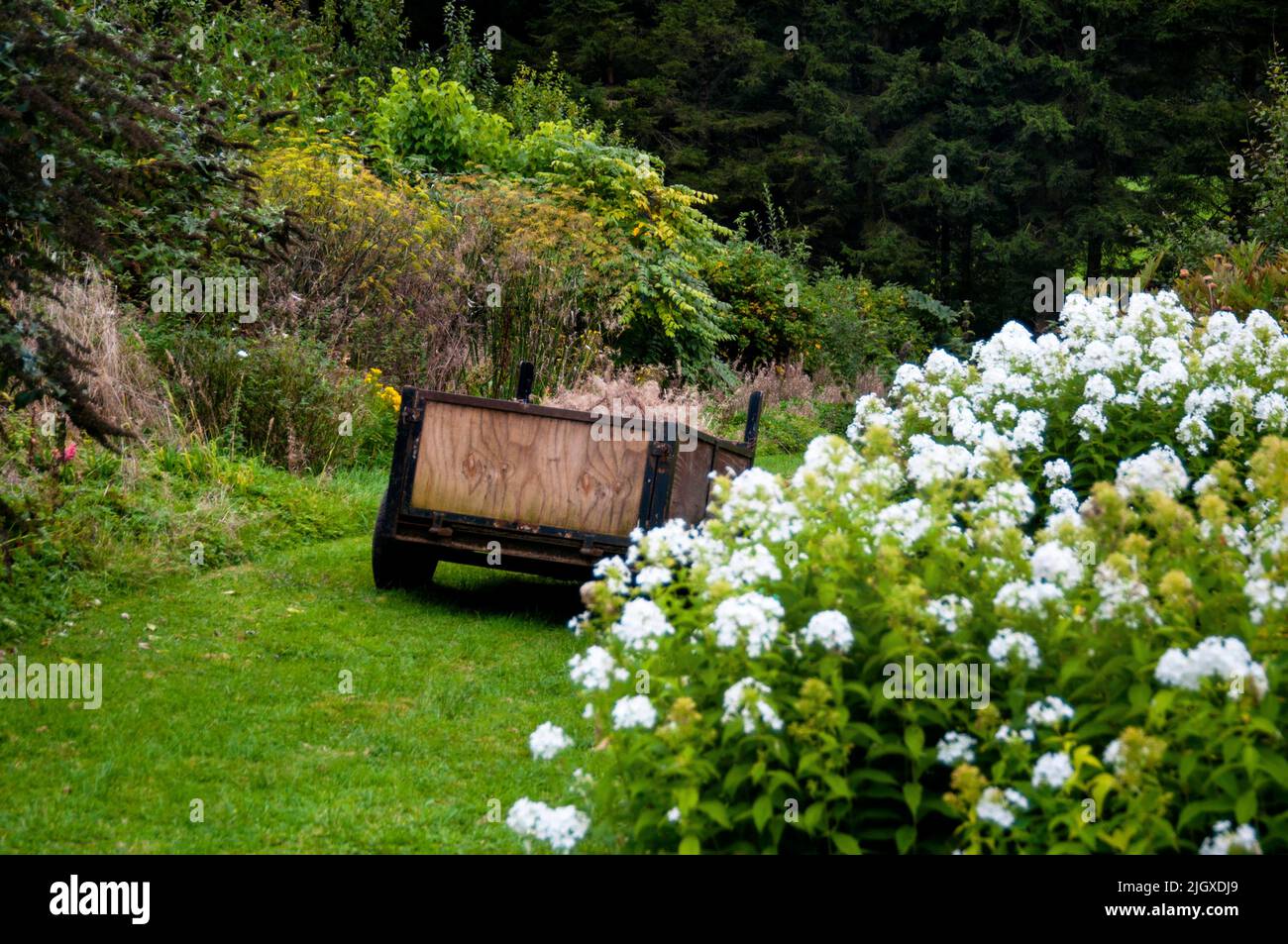 Irischer gartenwagen Fotos und Bildmaterial in hoher Auflösung Alamy