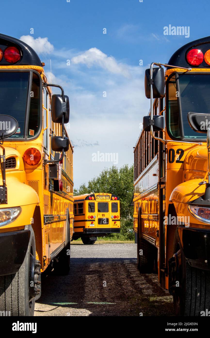 Big Yellow School Bus sind geparkt, sauber und glänzend warten auf die Kinder oder Kinder zur Schule zu bringen. Stockfoto