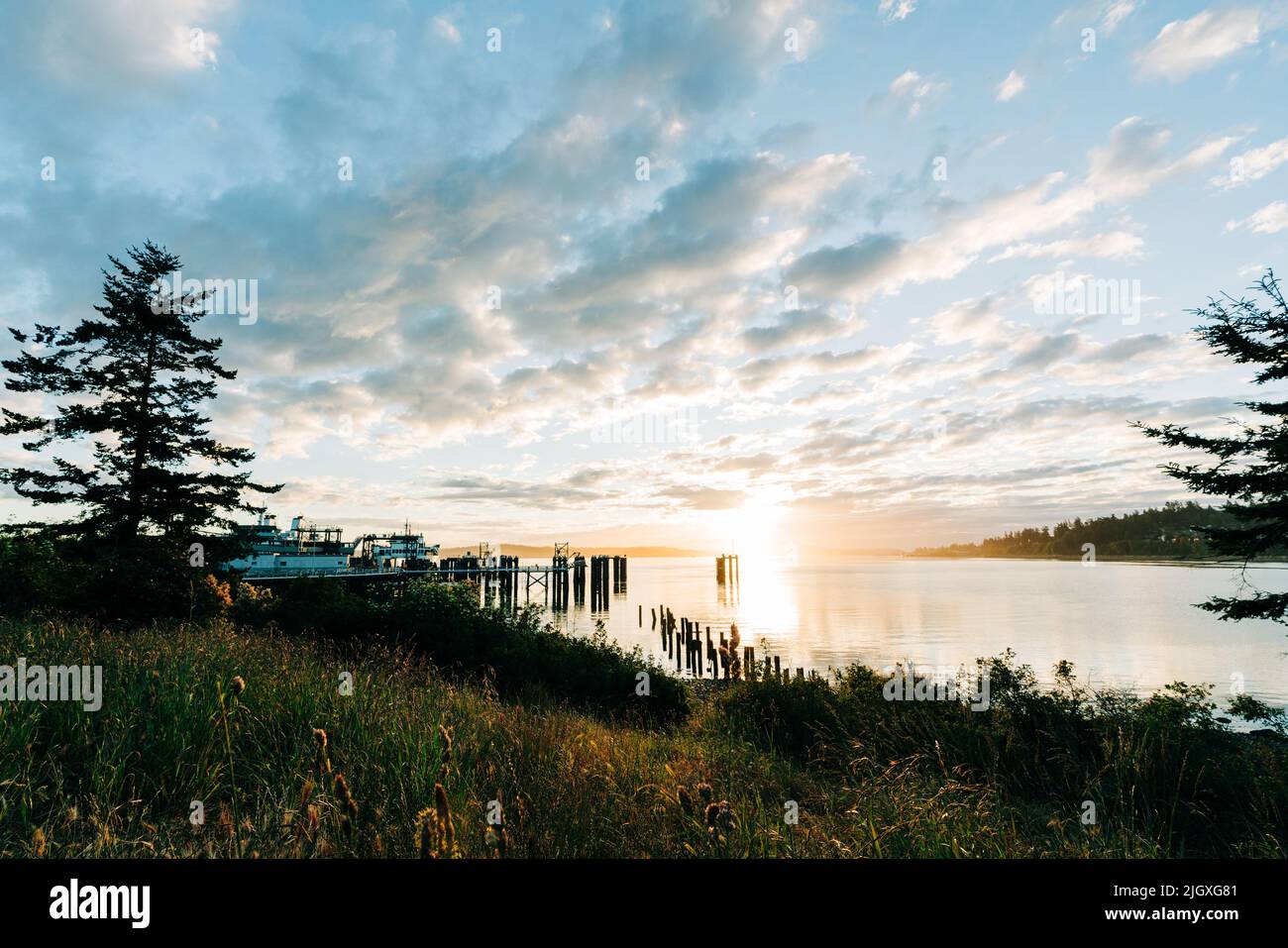 Blick auf den Fährhafen von Anacortes bei Sonnenaufgang Stockfoto