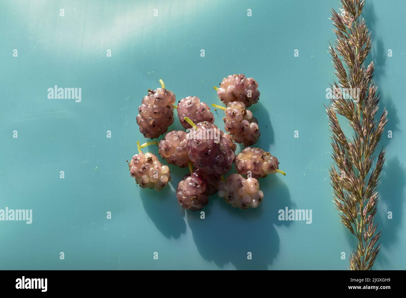 Draufsicht auf reife rosa Maulbeeren Stockfoto